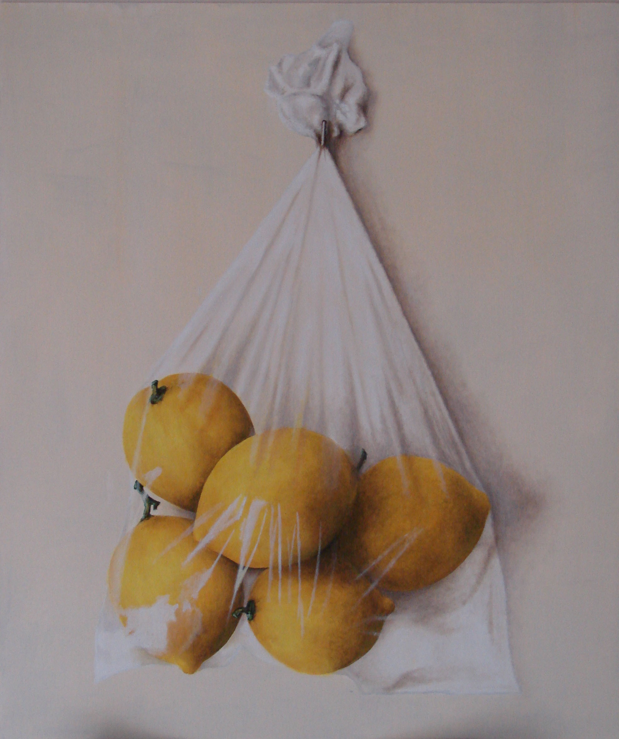 Bolsa de limones