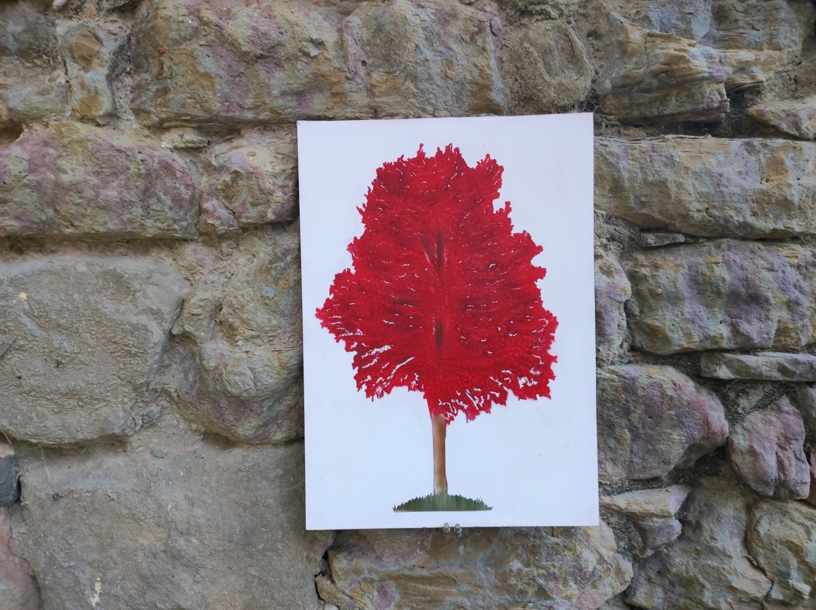 autumn red tree
