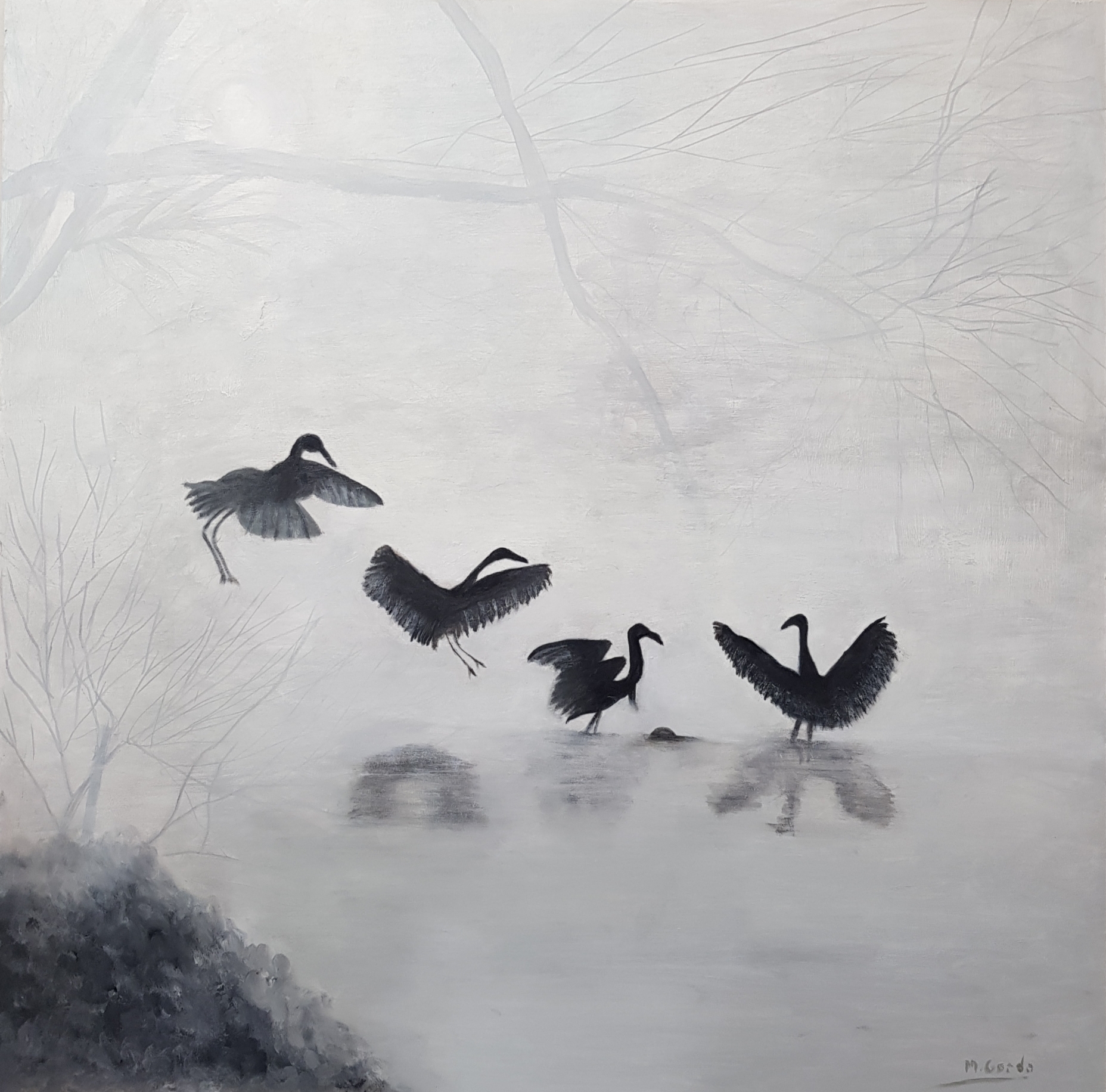 Pájaros en la niebla