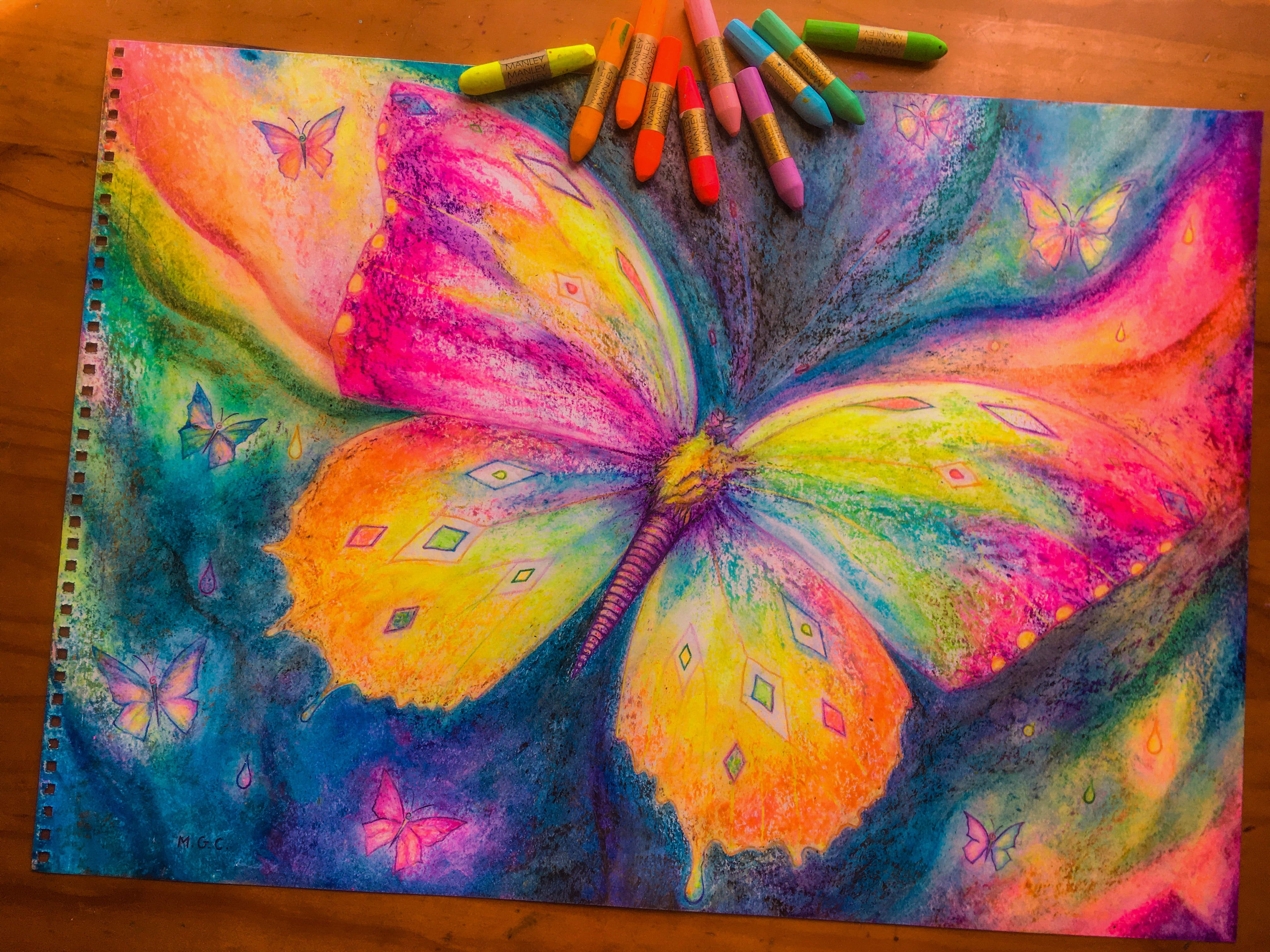 Multicolor butterfly