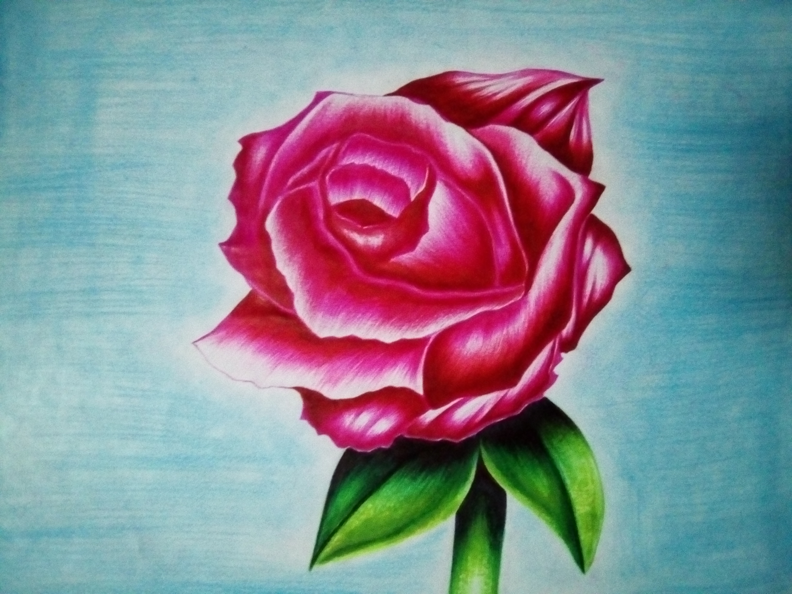 Rosa rosada, Lápiz, Técnica Mixta, Dibujos, comprar arte original