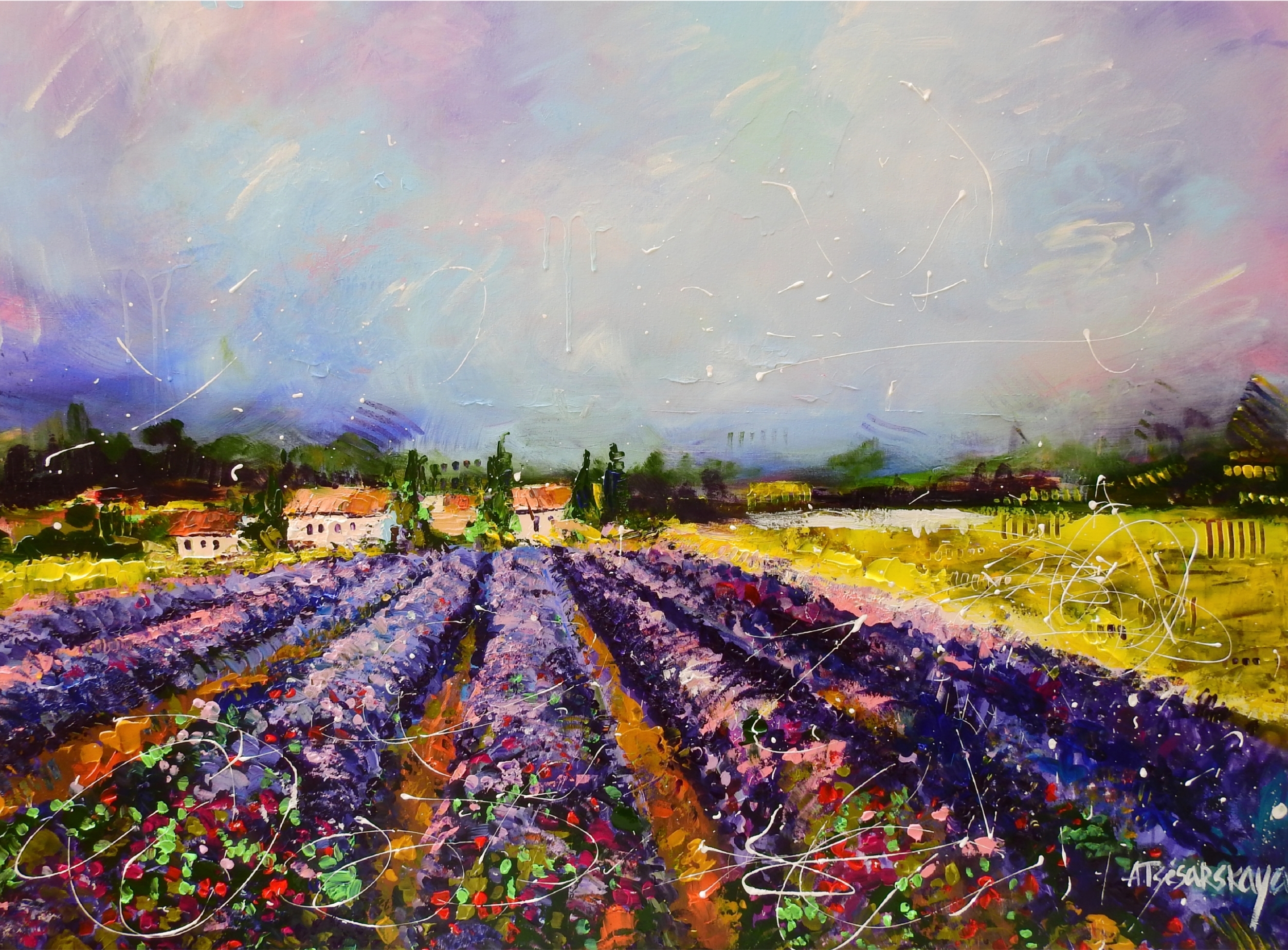 Lavender field (provance) 120×90