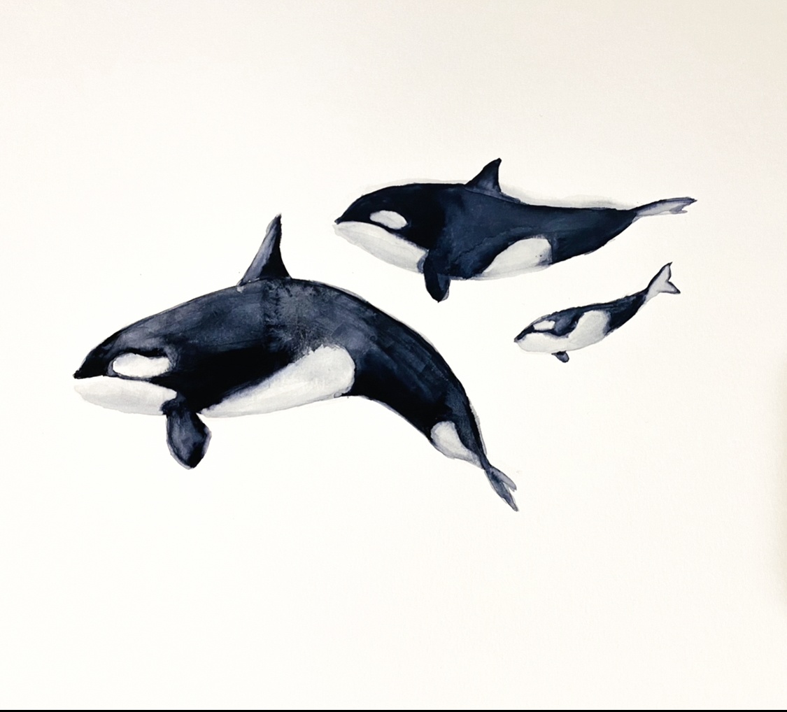 Familia de orcas, Otros, Dibujos, comprar arte original