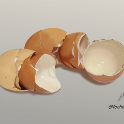 cascaras de huevos.png