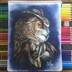Realistic owl.