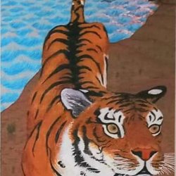 japanese tiger
