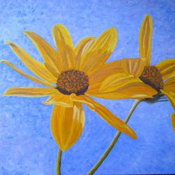 Sunflower-07.jpg