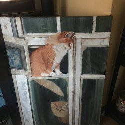 Gatos en la ventana