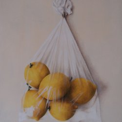 Bolsa de limones