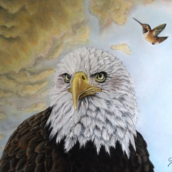 American Eagle (Forward)