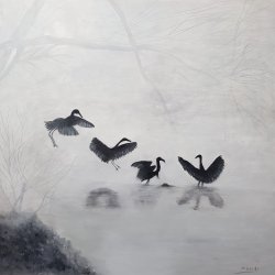 birds in the mist