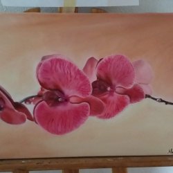Orquídea.jpg
