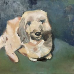 Retrato de un perro