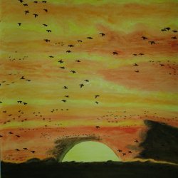 sunset with ducks
