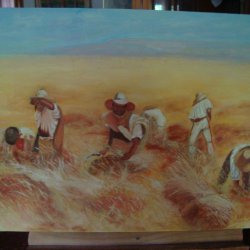 hombres cosechando en un campo de trigo