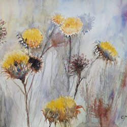 Thistles of the Way