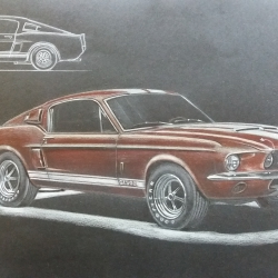 1967 mustang shelby GT 500