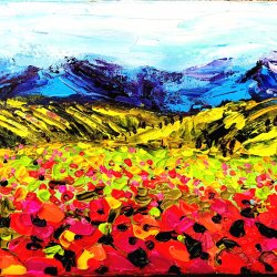 Poppies field - landscape whit poppies