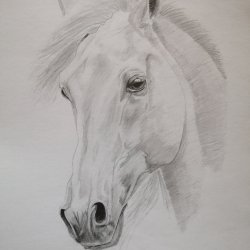 Dibujo de caballo