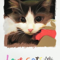 Series "Love Cats" (1)