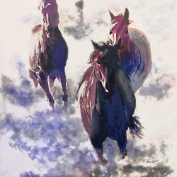 caballos del desierto