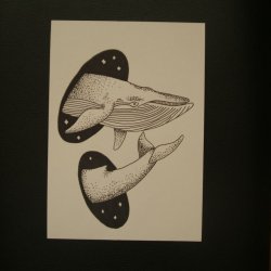 Stellar whales