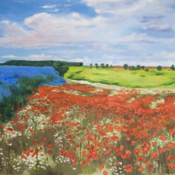 field with poppies and lavender