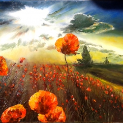 Poppies against the light