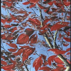 "RED", series "UNDER THE TREES"