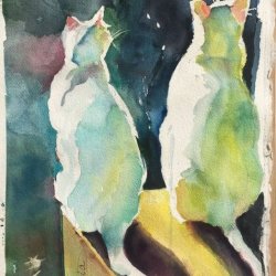 Cats at sunset