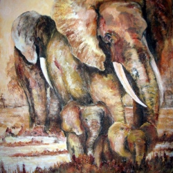 elefantes