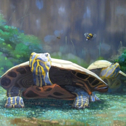 turtles night