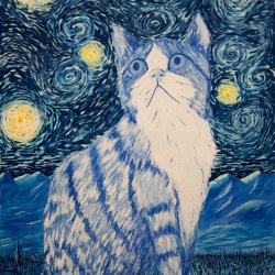 The starry cat