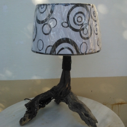 LAMP ROOT