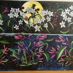 Night of lilies