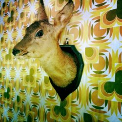 Eric Chauvet - Decoration
