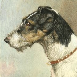 Elio Dog - Miniature Portraiture. (1939)