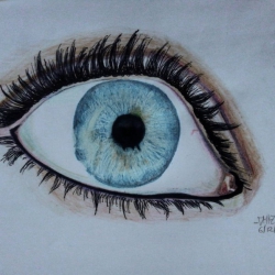 Te eye