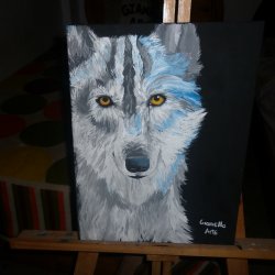 Wolf Look