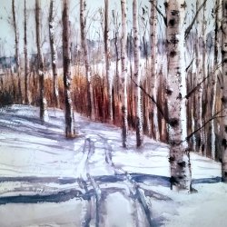 birches in winter