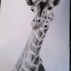Dibujo de jirafa
