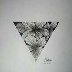 Triangulo and flowers