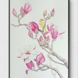 Magnolia #1