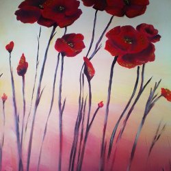 poppies in red