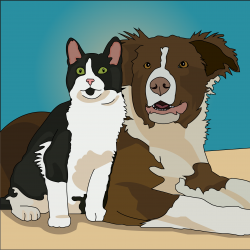 dog and cat.png