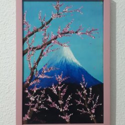 Fuji y Cerezos