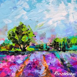 Lavender field - Provence landscape 30×30