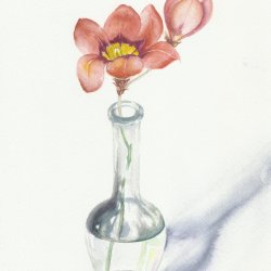 Flowers in vase