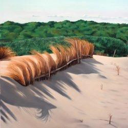 Dunes of Saler I