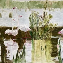 Flamingos in the Lagoon